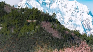 Tour Tây Tạng – Sắc Anh Đào Tây Tạng 9N8Đ - Image - 7354