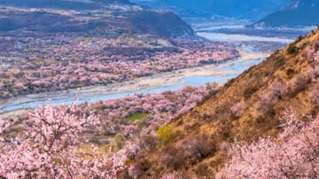 Tour Tây Tạng – Sắc Anh Đào Tây Tạng 9N8Đ - Image - 7348