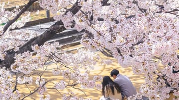 HÀN QUỐC 5N5Đ | BUSAN - SEOUL– ĐẢO NAMI - THÁP NAMSAN - EVERLAND - Image - 9784