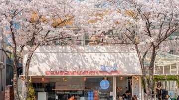 HÀN QUỐC 5N5Đ | BUSAN - SEOUL– ĐẢO NAMI - THÁP NAMSAN - EVERLAND - Image - 9788