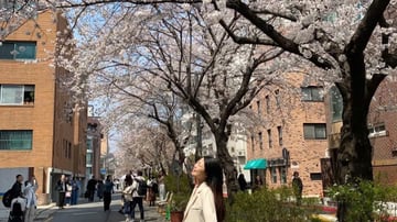 HÀN QUỐC 5N5Đ | BUSAN - SEOUL– ĐẢO NAMI - THÁP NAMSAN - EVERLAND - Image - 9783