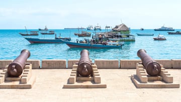 12 DAYS TANZANIA WILDLIFE TO ZANZIBAR BEACH ESCAPE - Image - 7635